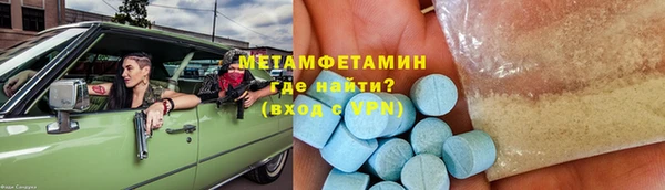 шишки Няндома